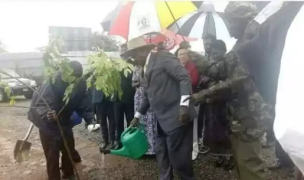 LoLZ.... Ugandan President Mocked For Watering Plant During Heavy Downpour (Photo)